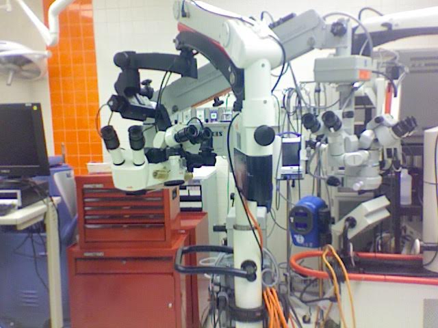 microscope in lab