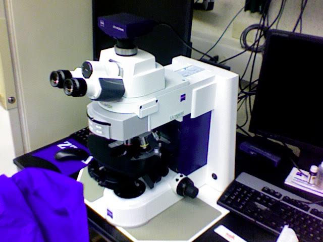 desktop lab microscope