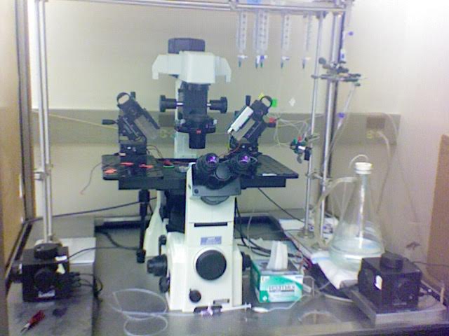 lab microscope with lab equipment